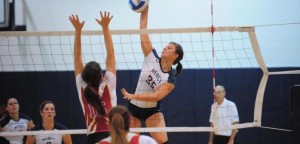 Volleyed Up Another Loss