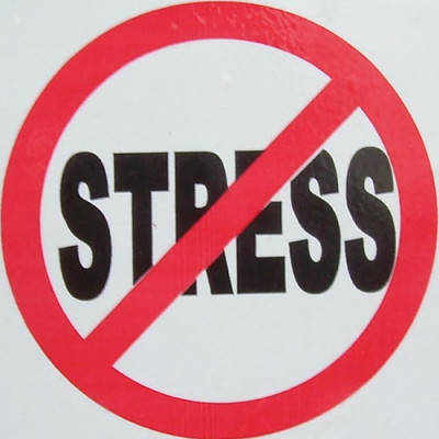 More Stressed Out Than Me. I Never Thought I’d Know Such a Person.