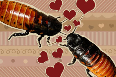 Happy Valentine’s Day