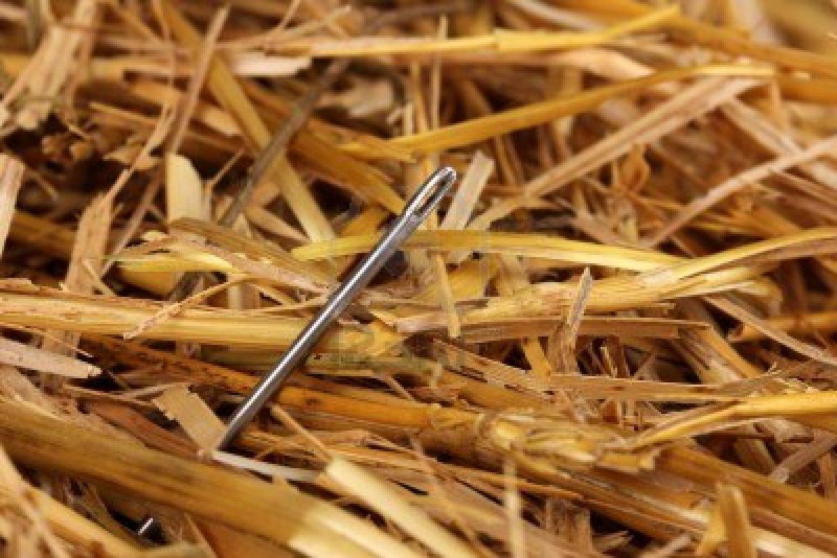 What Is Another Phrase For Needle In A Haystack