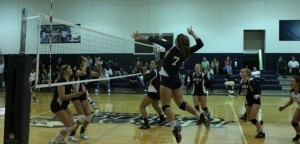 Meet The Maverick Masher - Freshman Phenom Brenna White