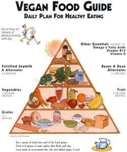 Tips on Maintaining a Vegan Diet in College