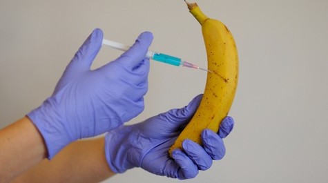 The Mad Scientist's Banana