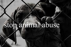 Combating Animal Abuse