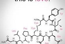 New Drug in Town; The Love-Drug 