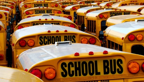 school-buses