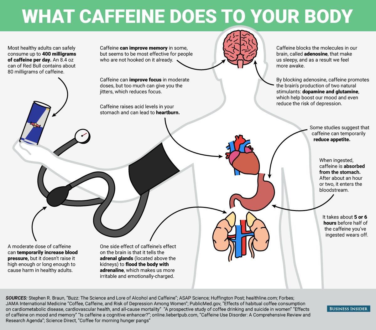 Кофеин пульс. Кофе повышает давление или понижает давление у человека. Влияние кофеина на организм человека. Влияние кофе на организм. Влияние кофе на организм человека.