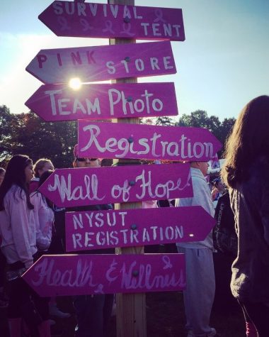 Taking Strides Against Breast Cancer