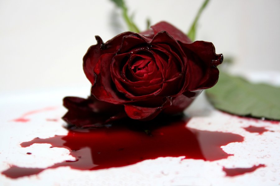 monogamy is dying the