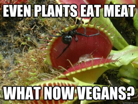7 Misconceptions About Vegans
