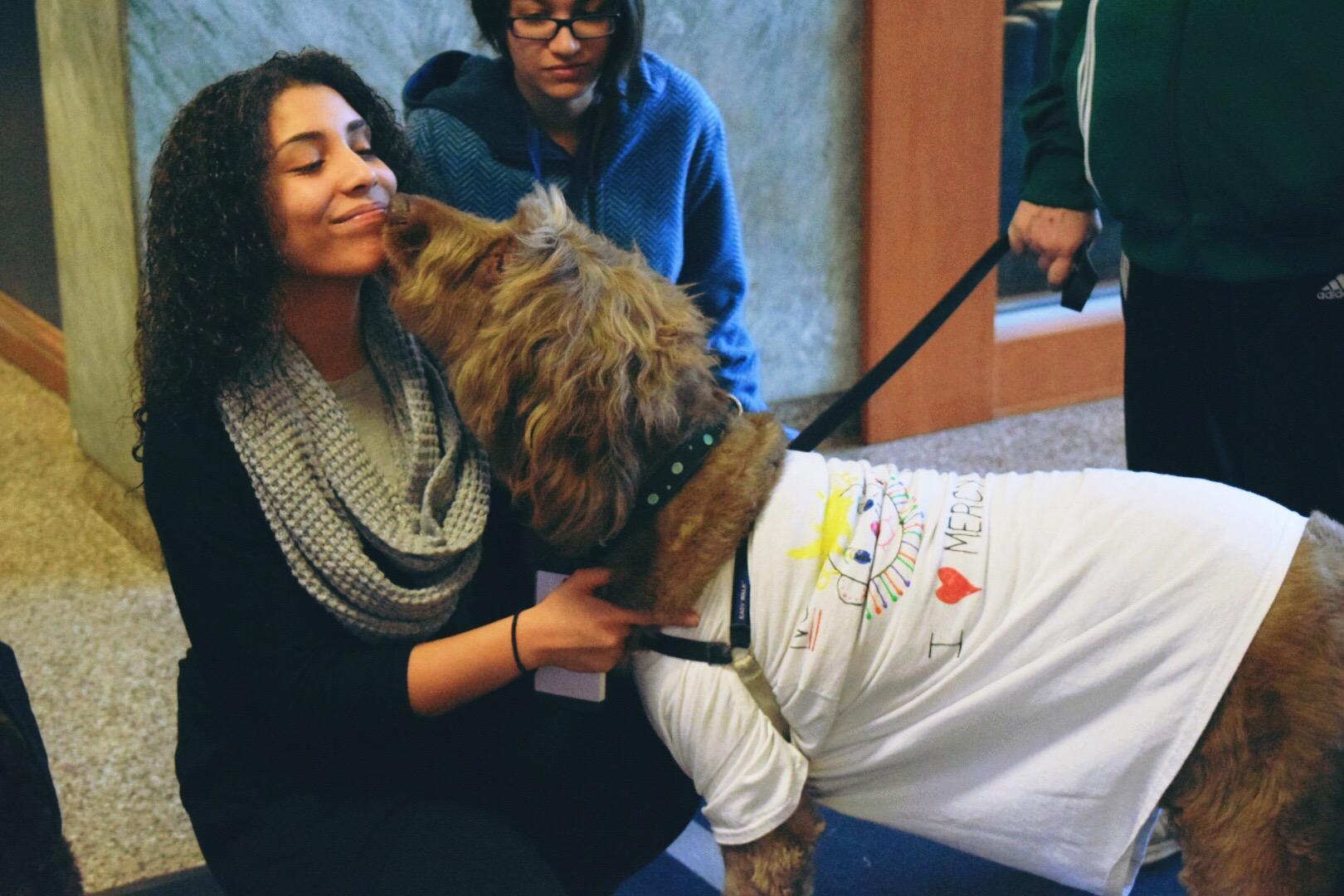 Therapy Dogs Relieve Stress At Mercy College The Impact therapy-dogs-relieve-stress-at-mercy-college-the-impact