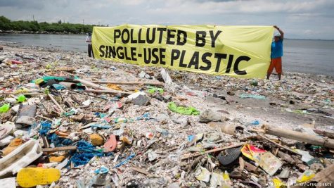 OP/ED: Straws Seriously Suck