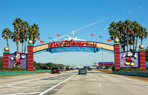 8 Disney Tips and Tricks for Your Trip to Disney World