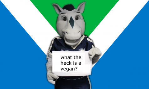 Mercy College Doesn’t Care about Vegans or Vegetarians