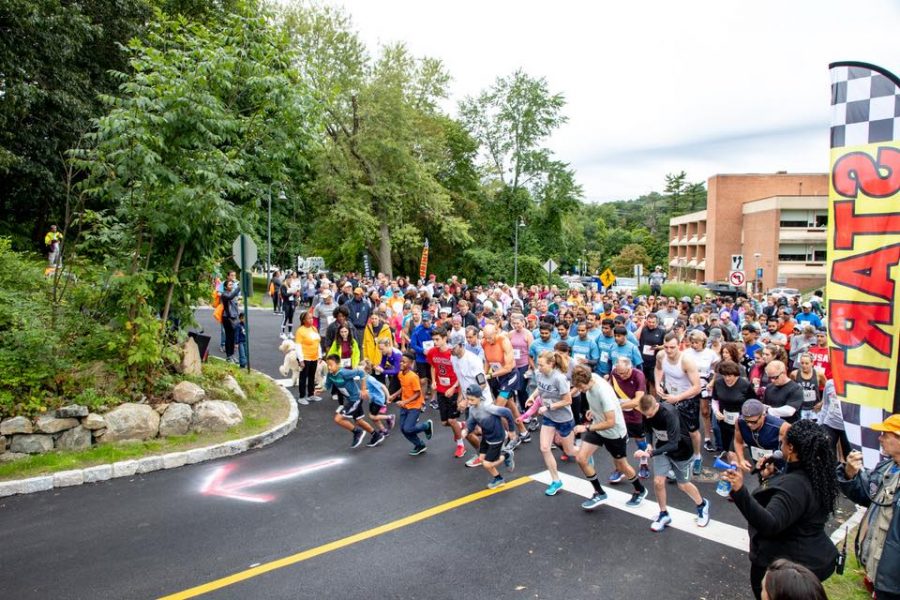 Runners+and+walkers+starting+the+Feeding+Westchester+race.