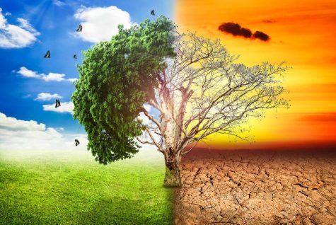 OP/ED: What Will It Take? Coming to a Consensus on Climate Change