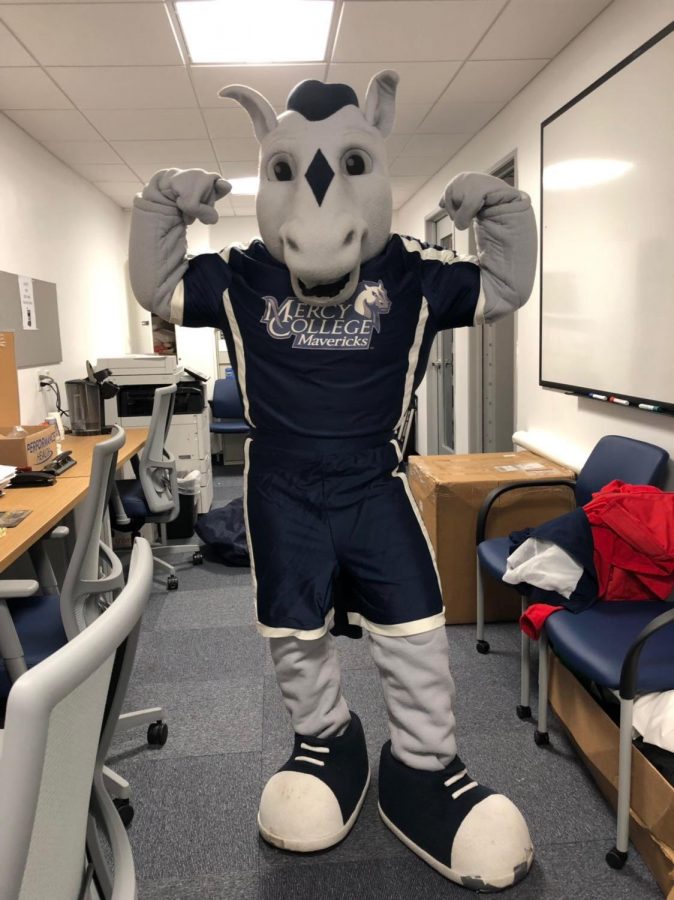 Mascot for a Day, Maverick Forever