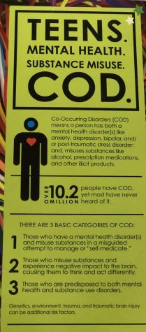 Youth Voices Of Change: Creating Awareness About Co-Occurring Disorders