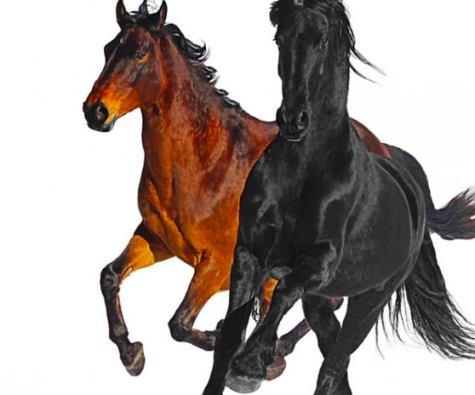 Lil Nas X & Billy Ray Cyrus Remix “Old Town Road” Put An End To Racism