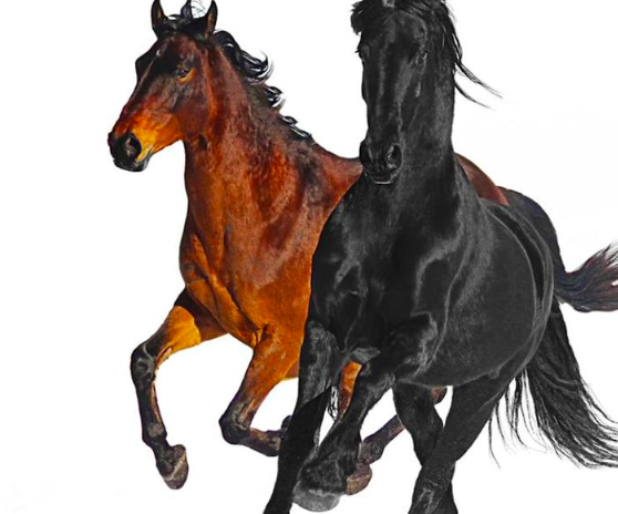 Old Town Road Lyrics Billy Ray Cyrus Remix