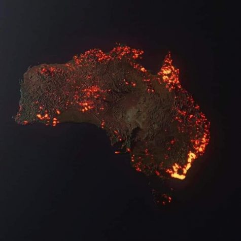 The World Actively Responds to Australia’s Tragic Fires