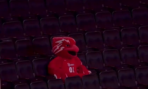 Sports Fans Will Not Attend Events Without A Coronavirus Vaccine
