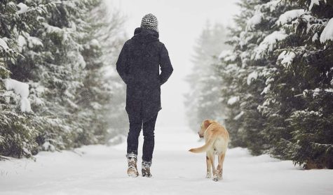 Have Your Pet’s Prepared for this Ruff Winter