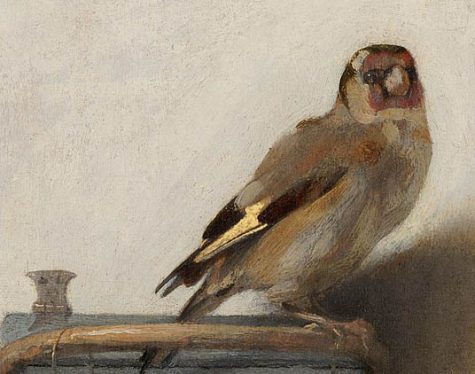 Why The Goldfinch (2019) Is Terrible
