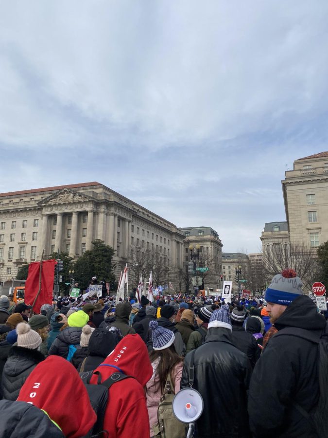Why I Attended The March For Life