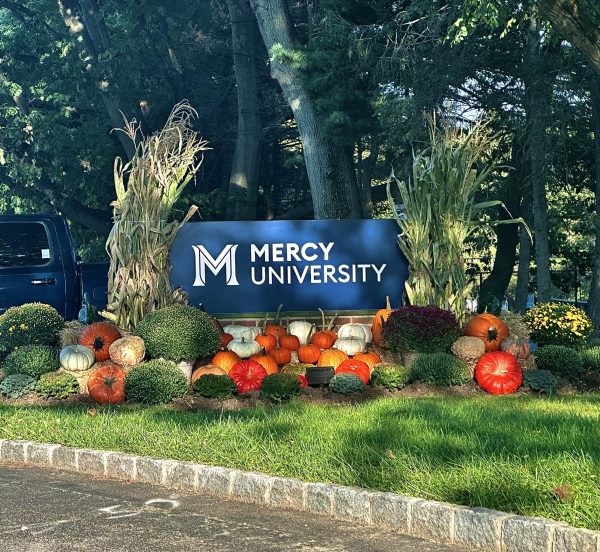 The New Mercy University