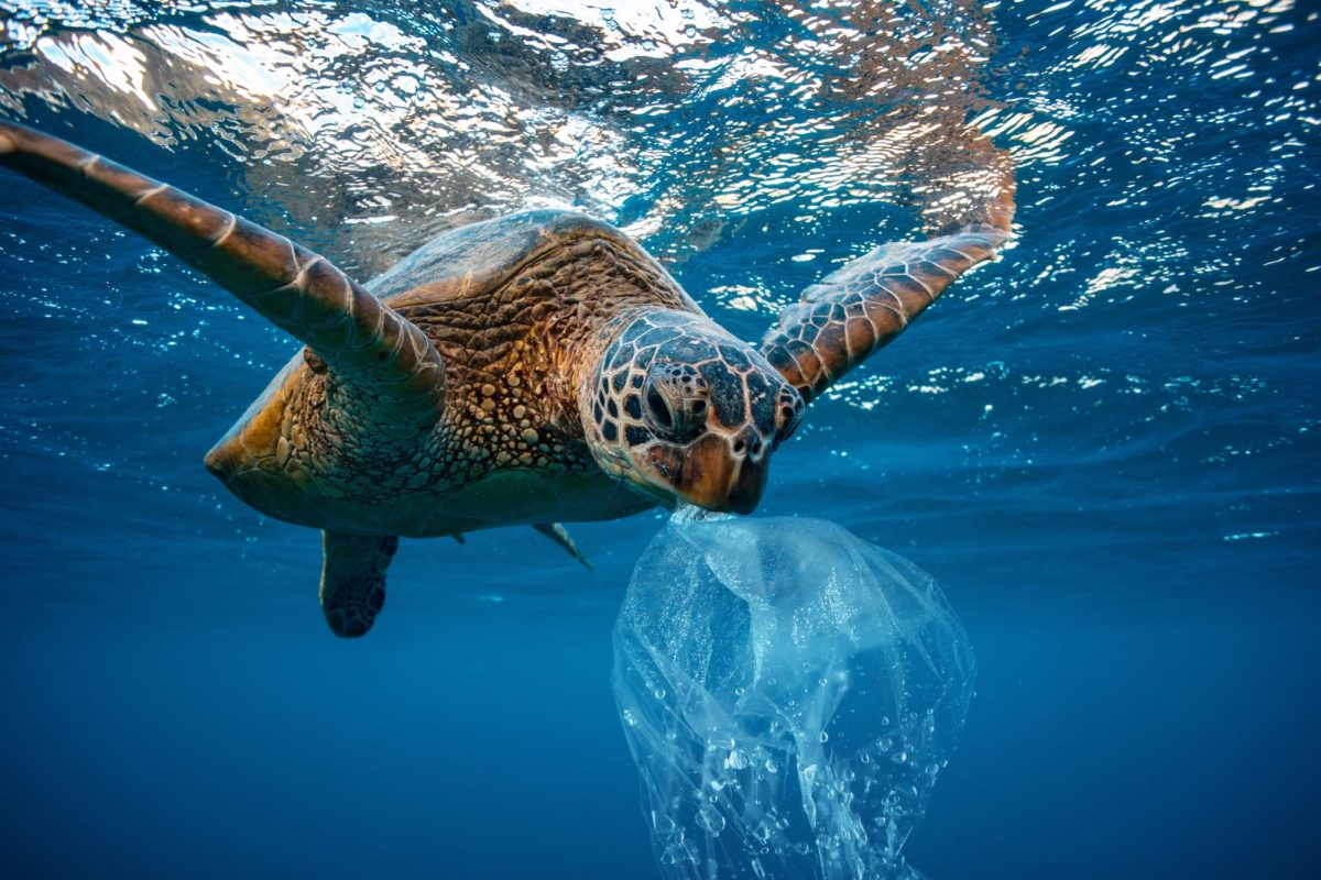 Connecting Students to the Ocean